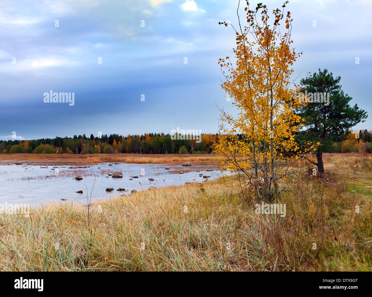 Autumn landscape with the lake Stock Photo - Alamy