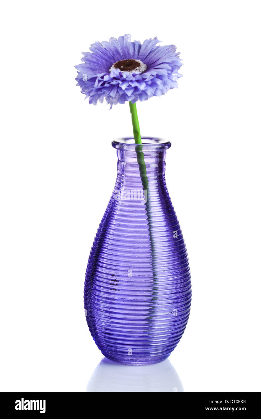 Blue flower in vase isolated on white Stock Photo - Alamy