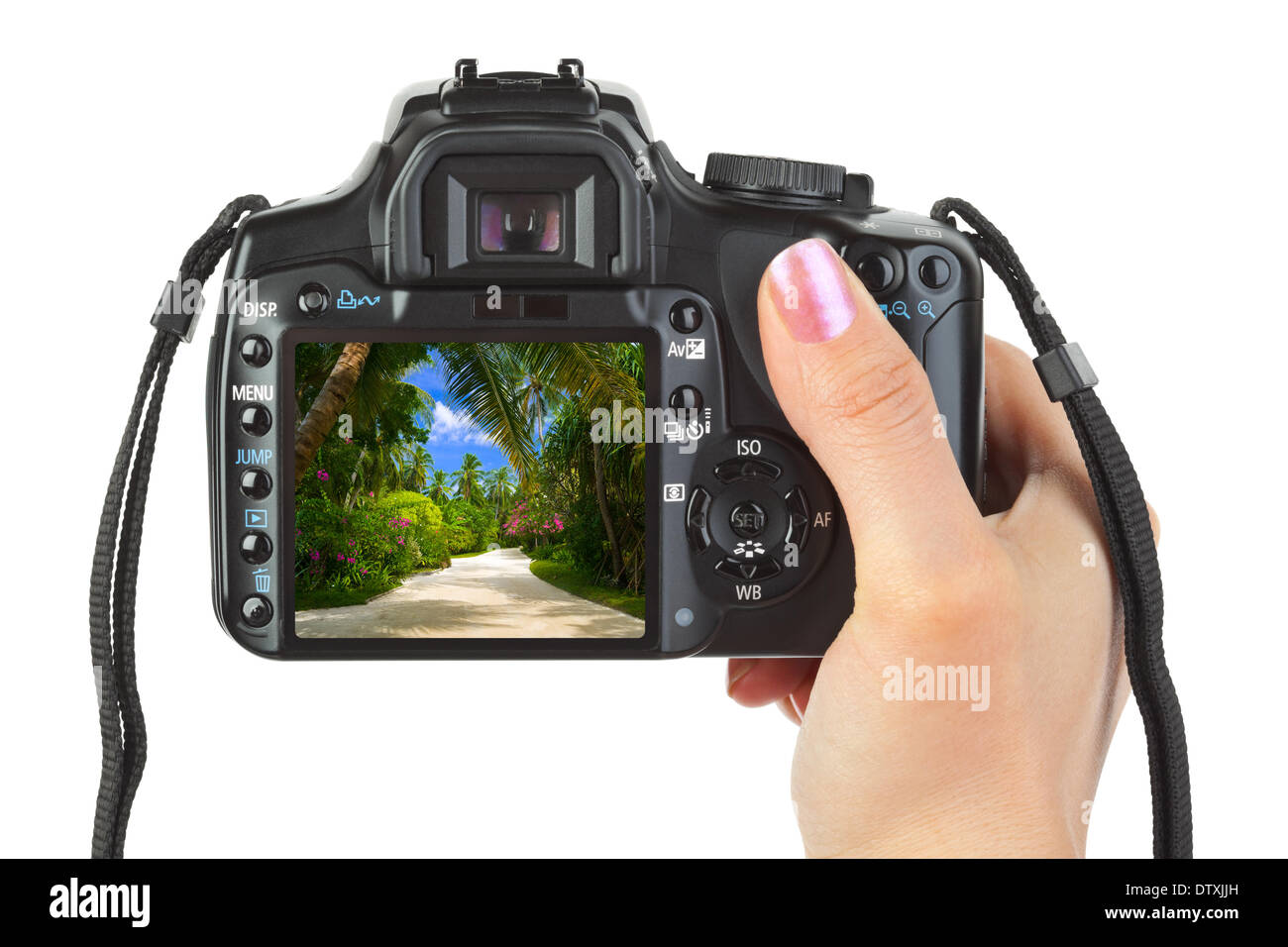 Camera in hand and beach landscape Stock Photo