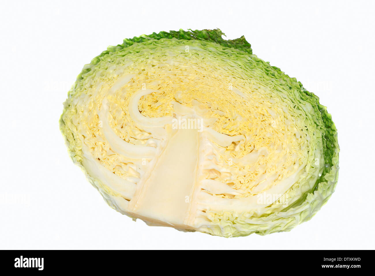Savoy Cabbage Stock Photo