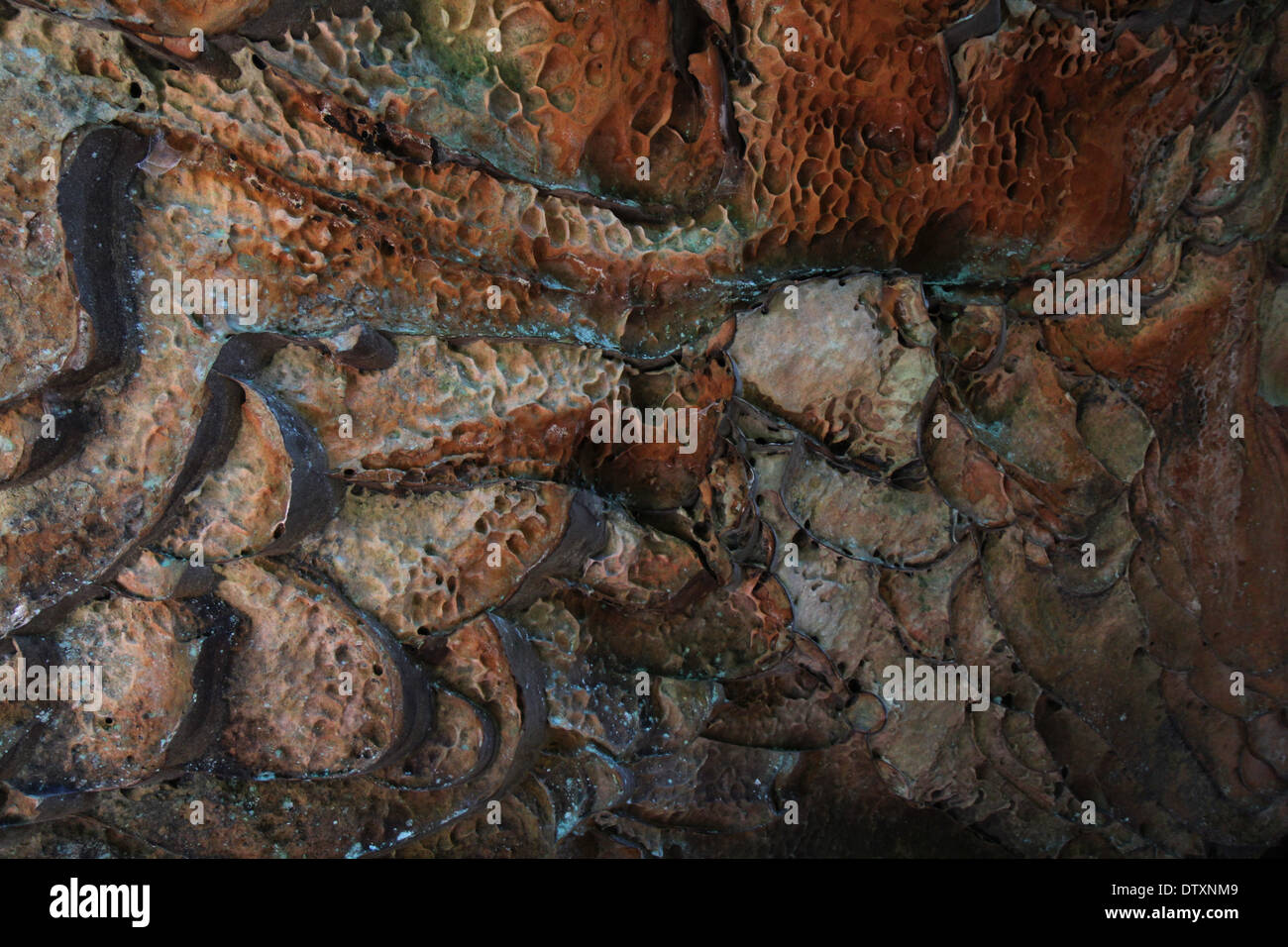 Honeycomb weathering in Sandstone cliff erosion Red River Gorge Kentucky Stock Photo