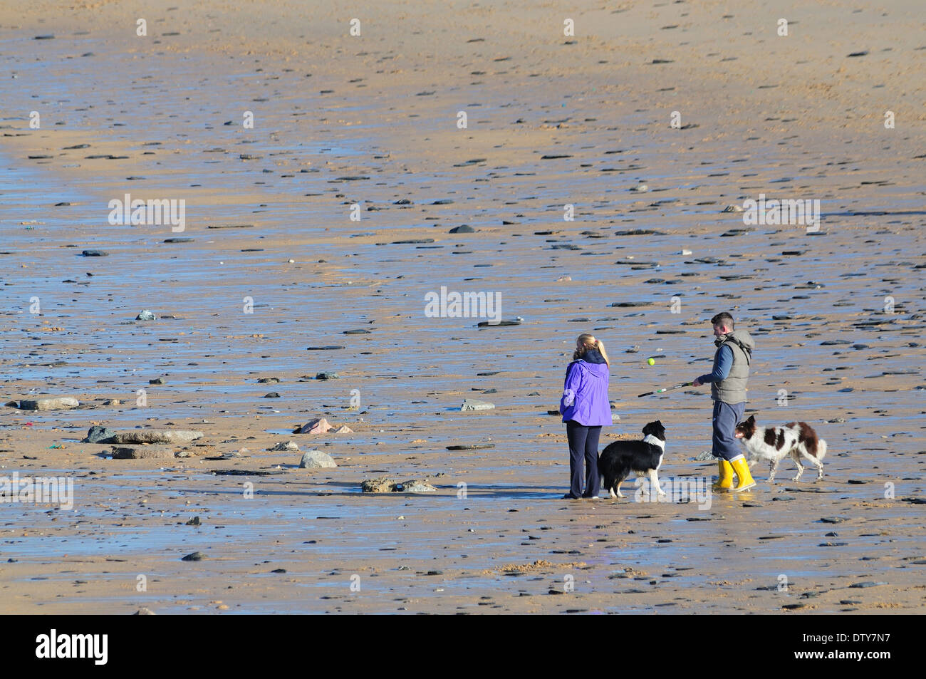 Women walking on a beach with a dog hi-res stock photography and images ...