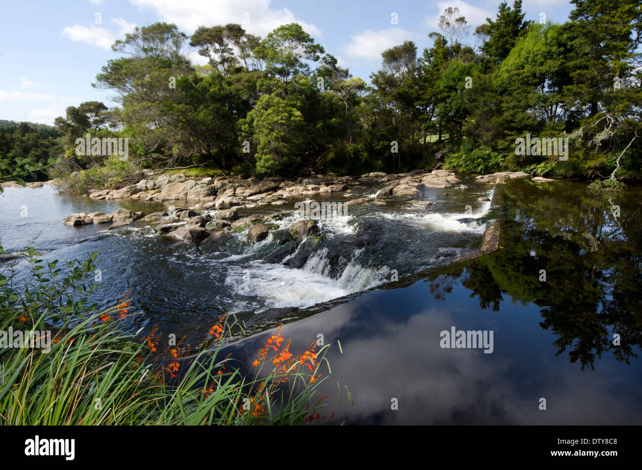 Kerikeri Waterfalls Nature Reserve In Northland New Zealand Nz Stock Photo Alamy