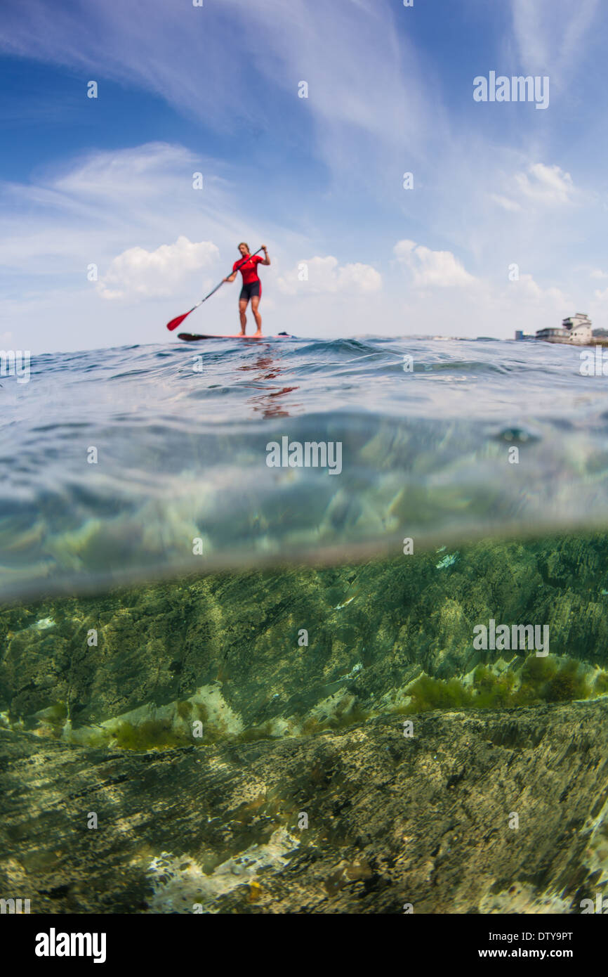 Sup rash vest outlet