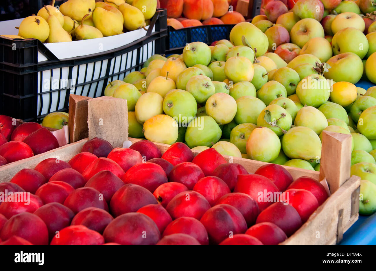 Fresh Organic Fruits At A Street Market Nectarine, Peaches, Apple, And