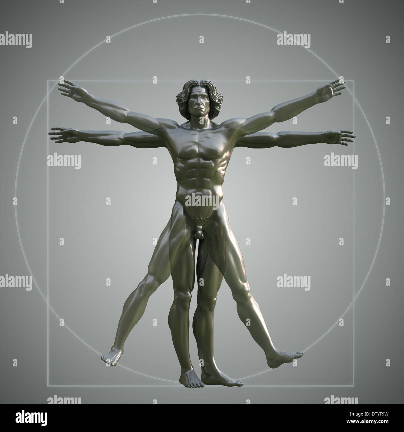 Vitruvian Man Stock Photo Alamy