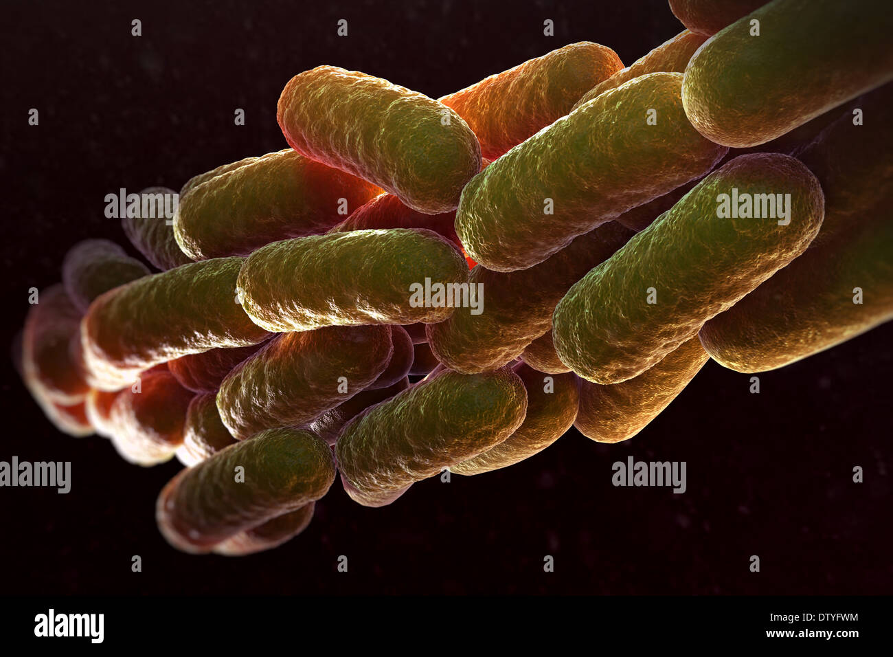 Legionella Pneumophila Bacteria Stock Photo 66988032 Alamy