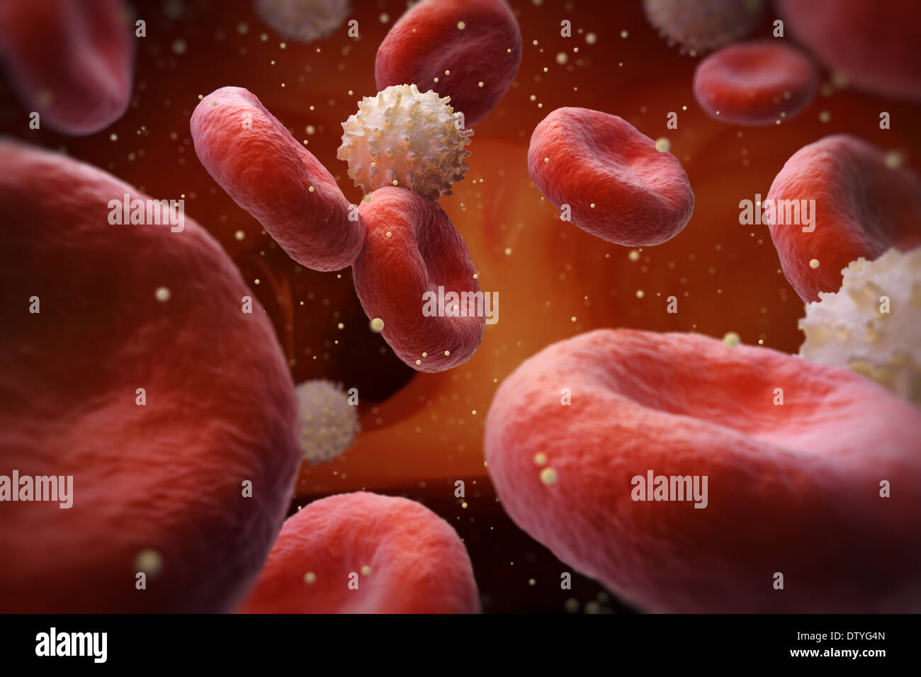 Glucose in Blood Stock Photo