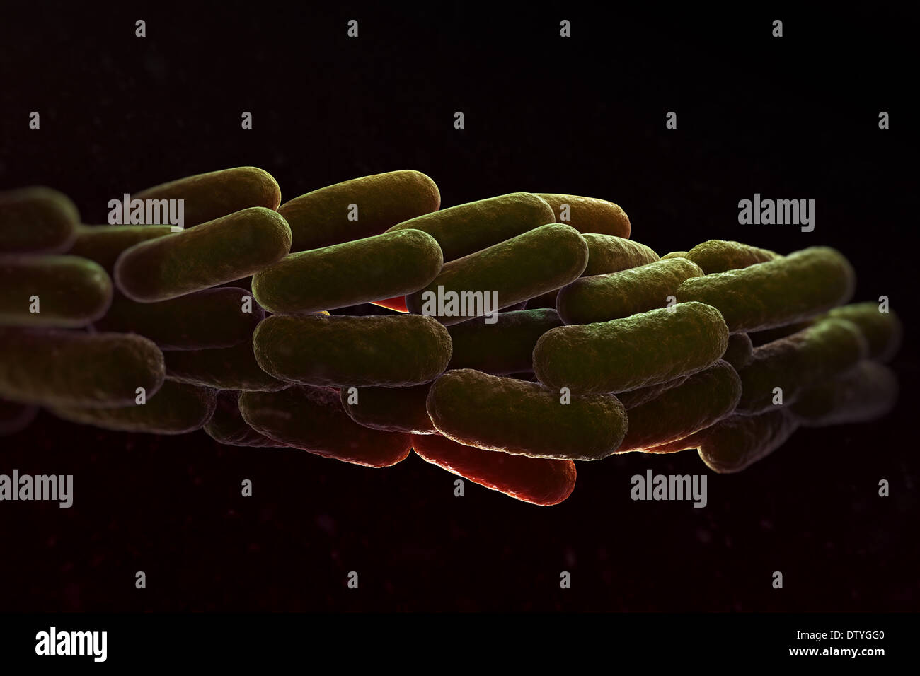 Legionella Pneumophila Bacteria Stock Photo Alamy