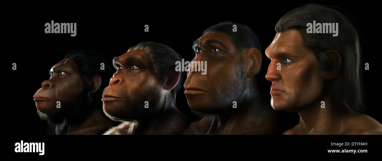 Human evolution stages hi-res stock photography and images - Alamy