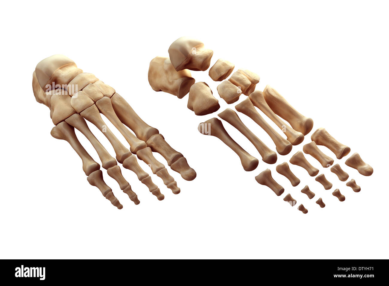 An exploded view Cut Out Stock Images & Pictures - Alamy