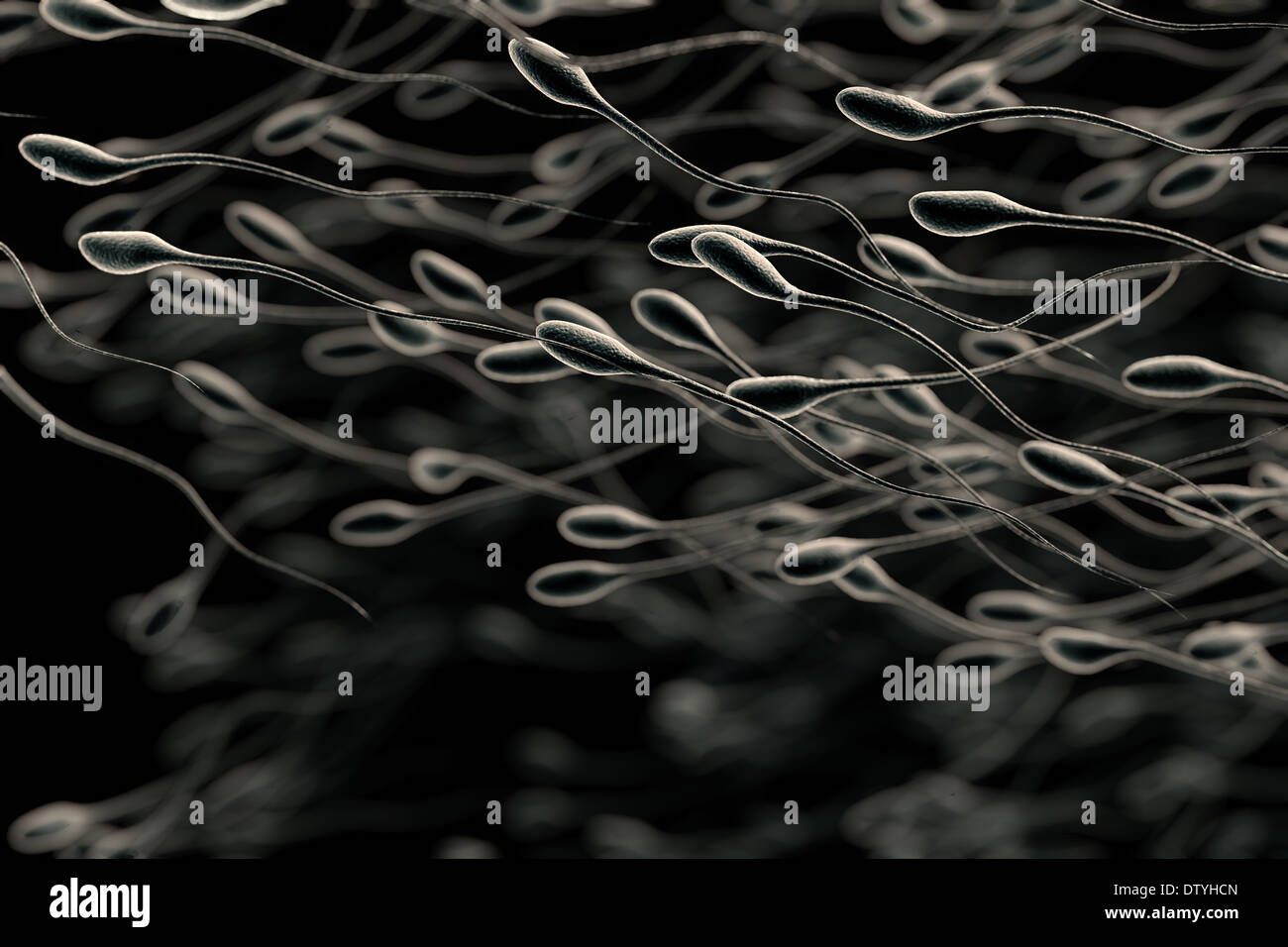 Human sperm cells hi-res stock photography and images - Alamy