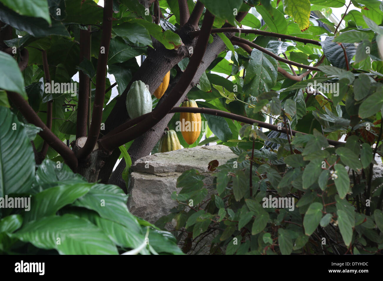 Coffee houses london hires stock photography and images Alamy