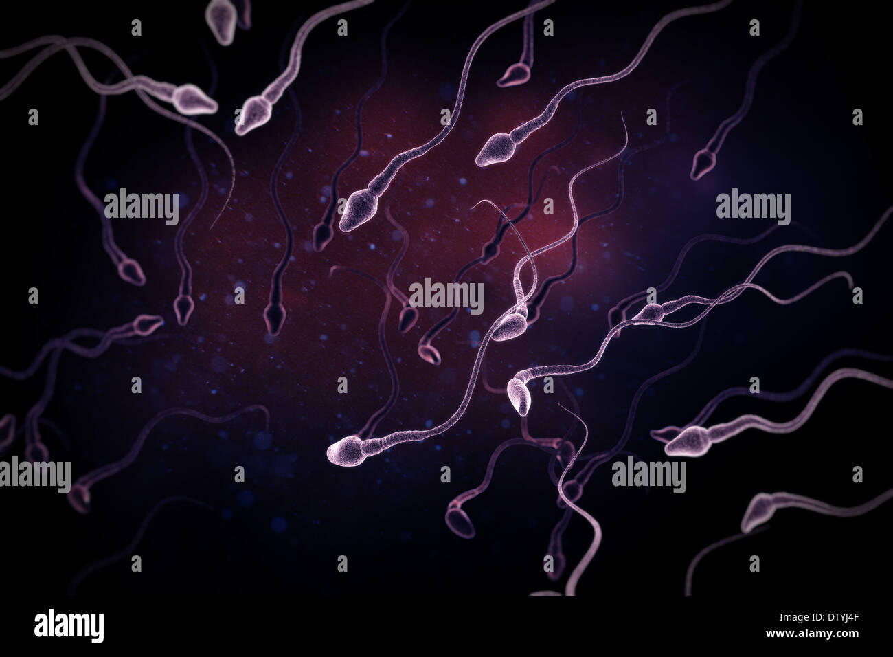 Sperm Stock Photo