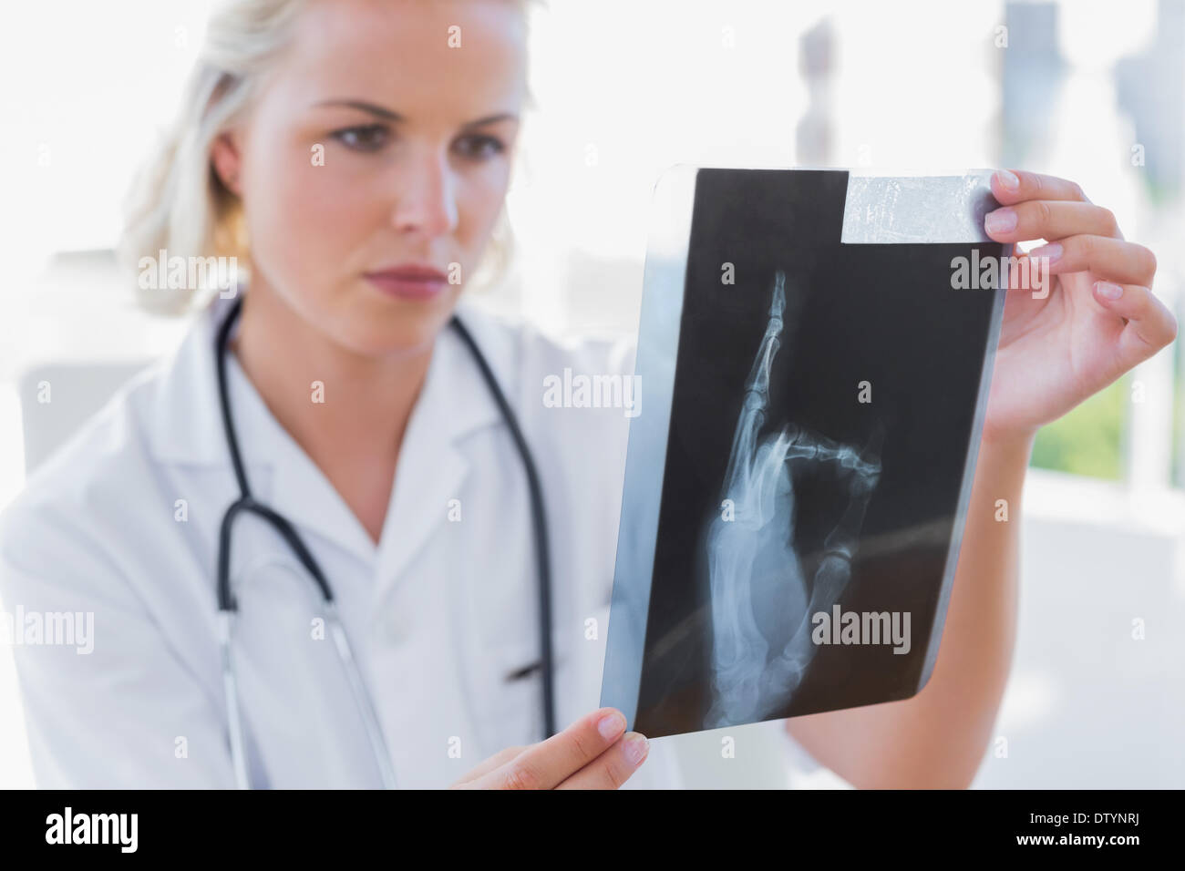 Nurse holding examining radiography hi-res stock photography and images ...