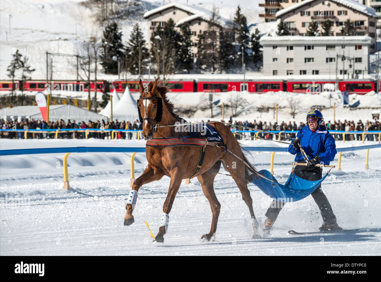 White Turf 2014 ski joering horse race in front of St.Moritz Dorf, Switzerland Stock Photo