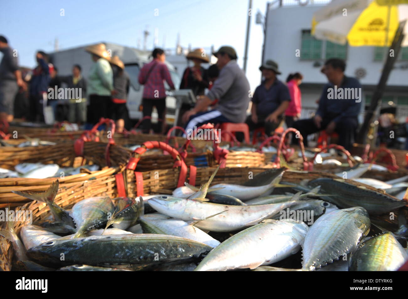 Qionghai, China's Hainan Province. 25th Feb, 2014. Fishers sell seafood at a port of the Tanmen harbour in Qionghai, south China's Hainan Province, Feb. 25, 2014. Large quantities of seafood have arrived here as Hainan enters the spring fishing season. © Meng Zhongde/Xinhua/Alamy Live News Stock Photo