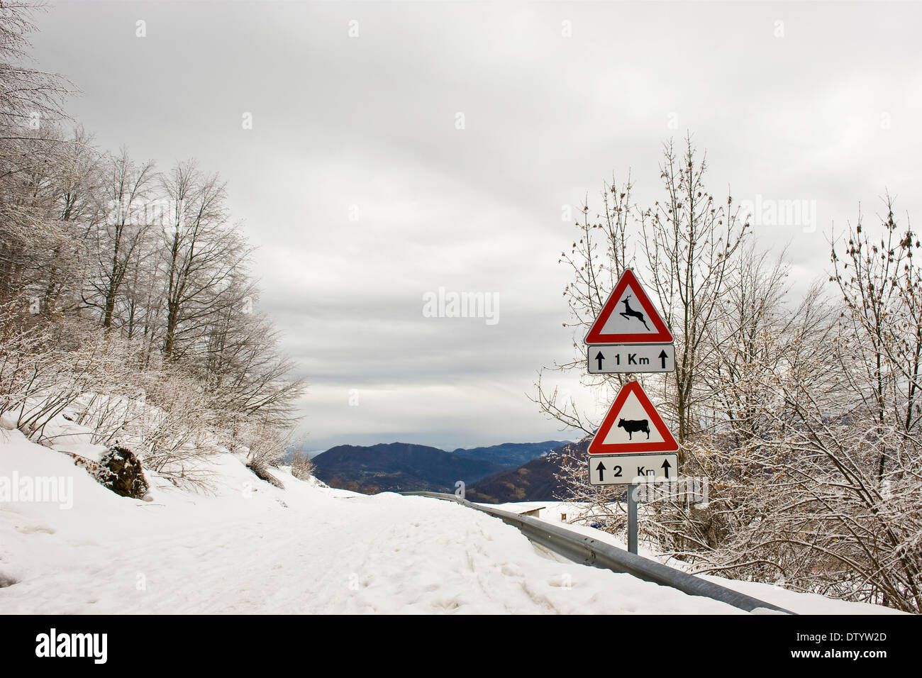 Italy, Recoaro Terme, road Stock Photo