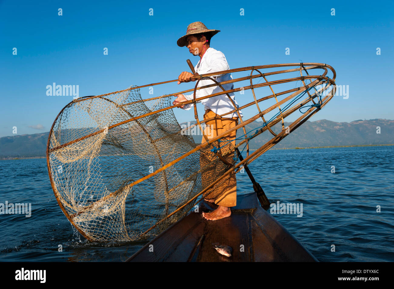Fish caught in nets hi-res stock photography and images - Alamy