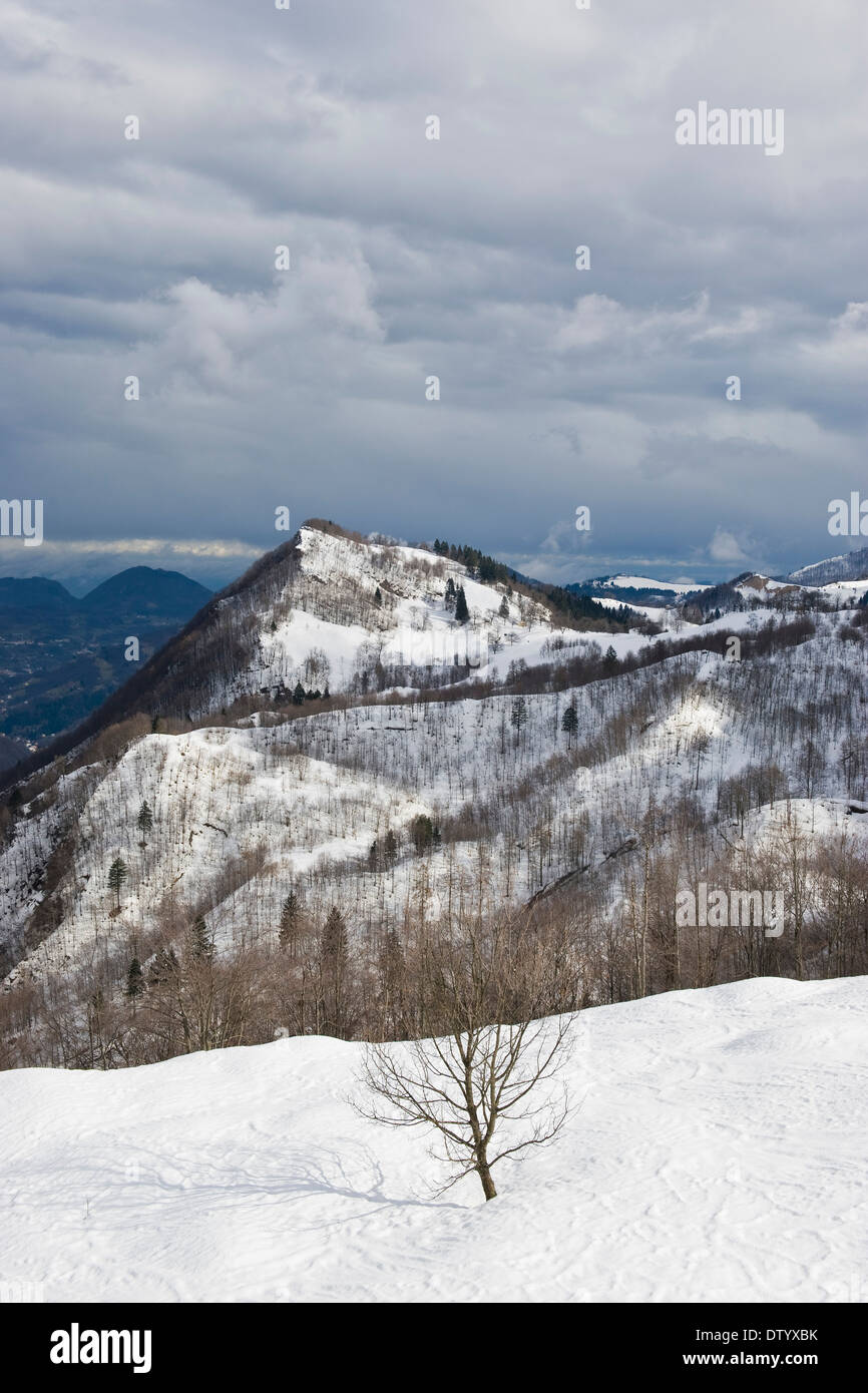 Italy, Recoaro Terme, landscape Stock Photo