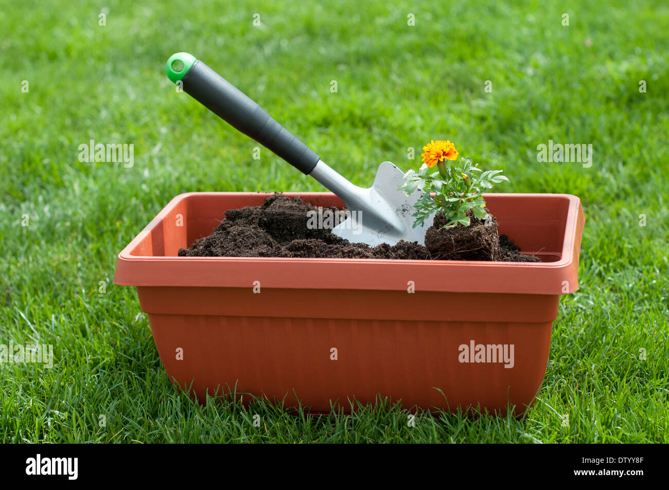 Garden shovel and a flower in a pot with compost Stock Photo Alamy