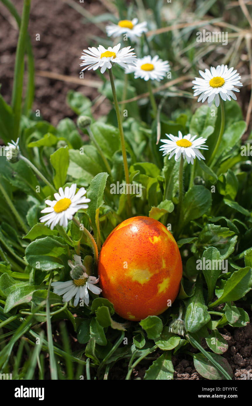 Colorful Easter egg hidden in a garden Stock Photo