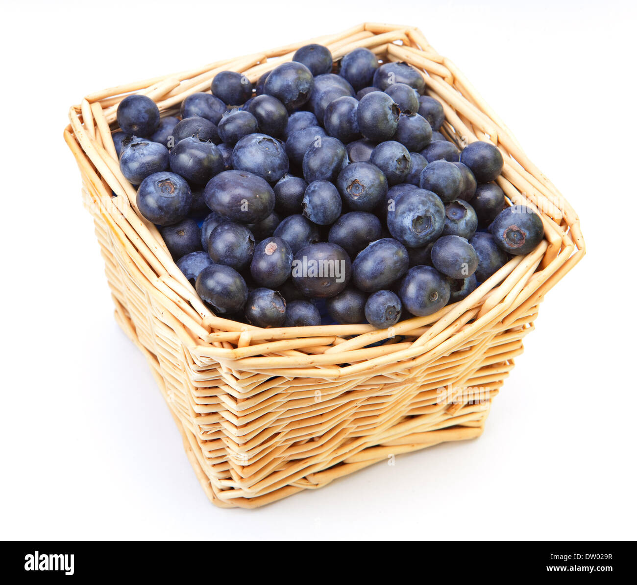The basket full of a ripe bilberry Stock Photo