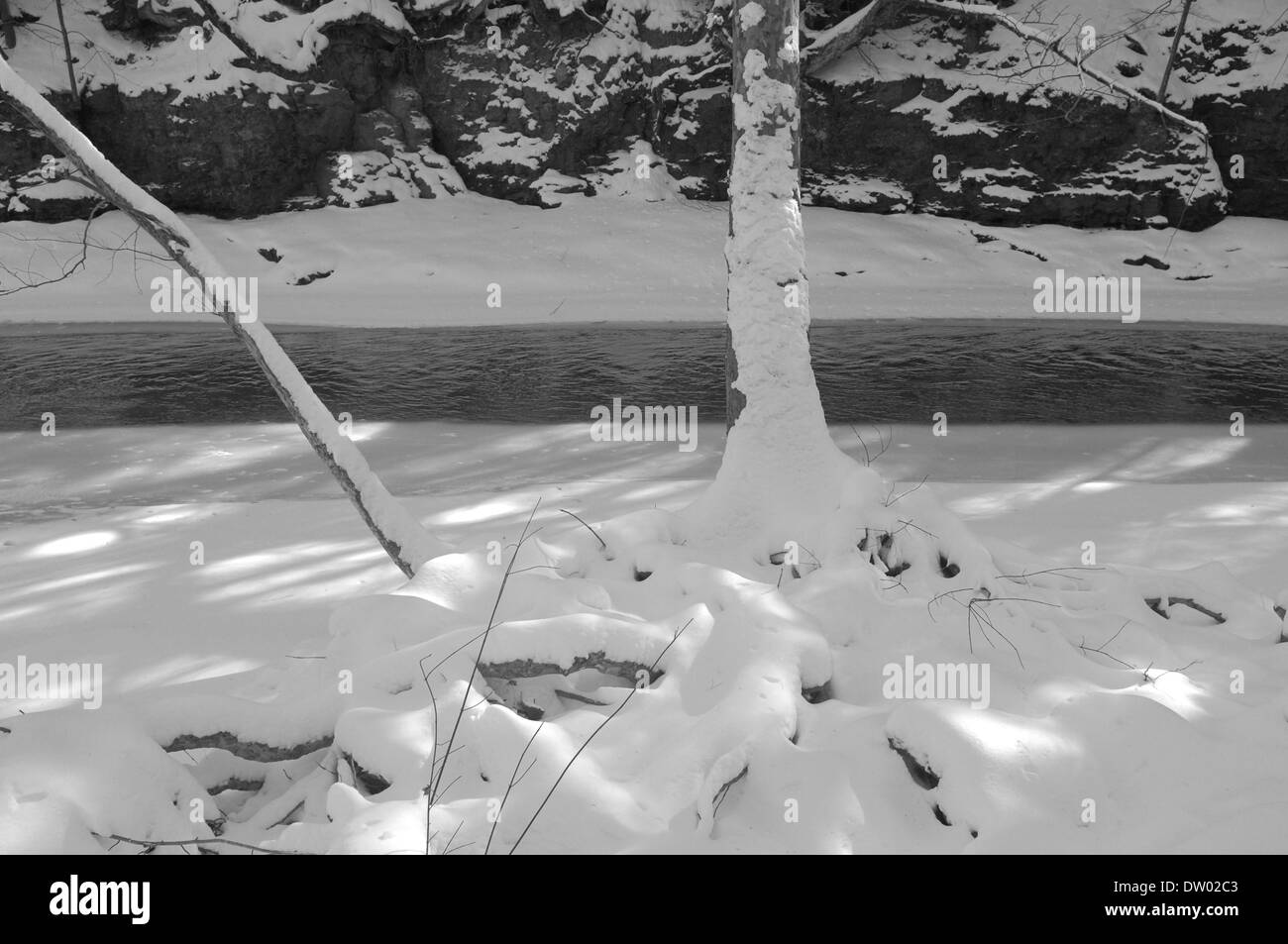 Woods in Snow, Woodstock NY, Zena. Catskills, Hudson Valley, Black and White Stock Photo