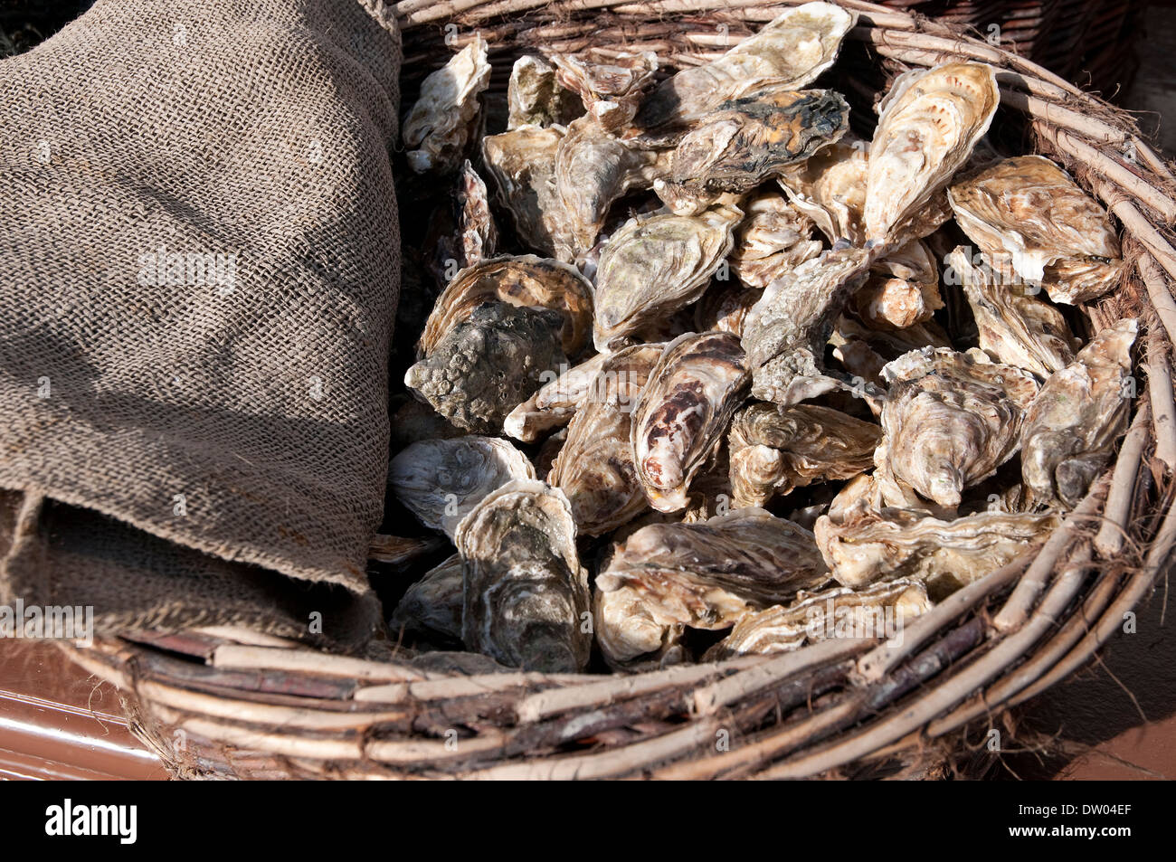 Cancale oysters france hires stock photography and images Alamy