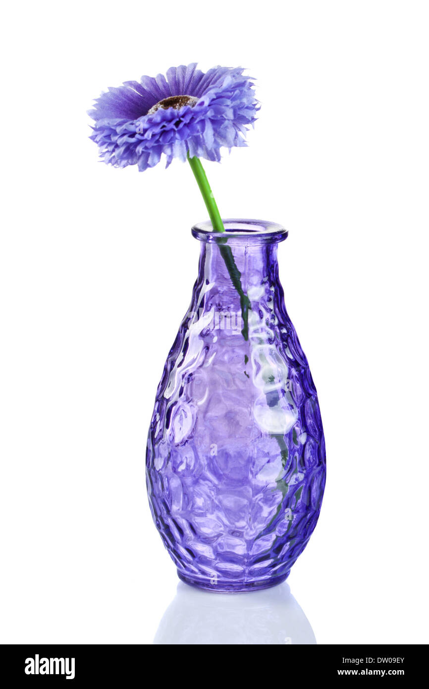 Blue flower in vase isolated on white Stock Photo - Alamy