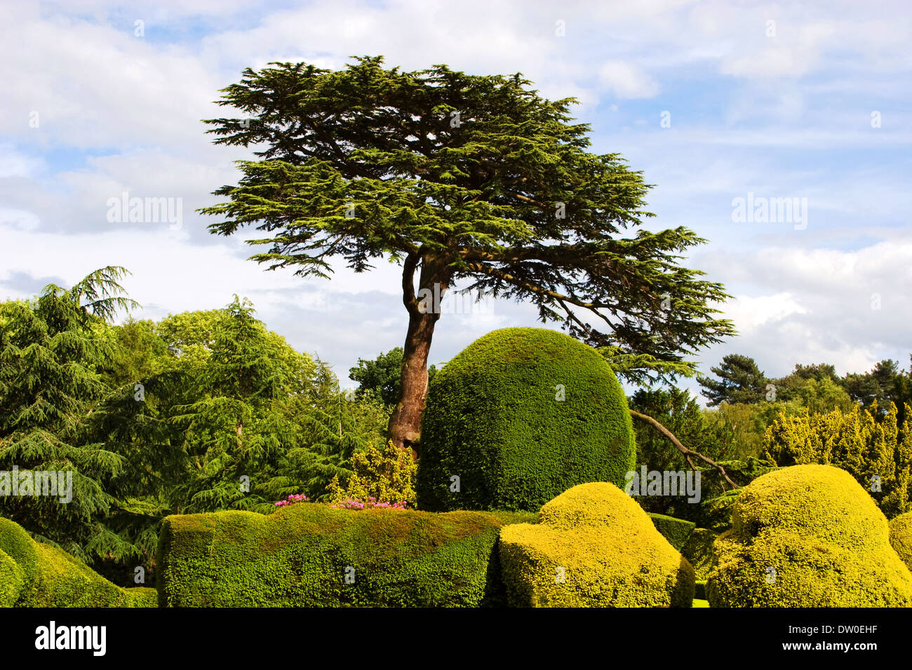 Elvaston Castle Garden High Resolution Stock Photography and Images - Alamy