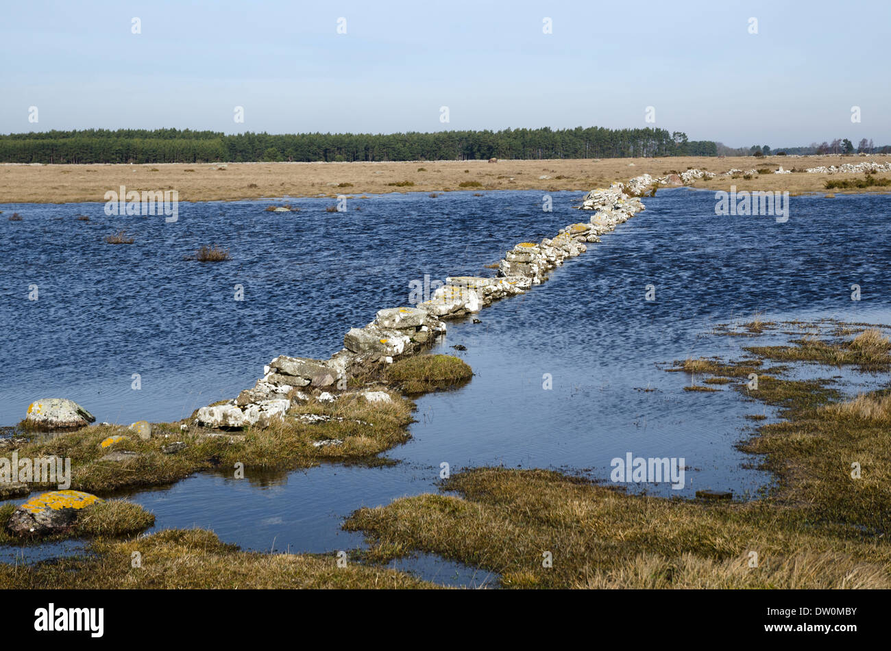 Springtime flood at a Swedish landscape Stock Photo