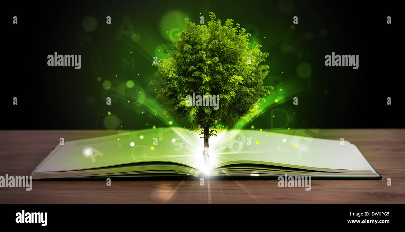 Open book with magical green tree and rays of light Stock Photo - Alamy