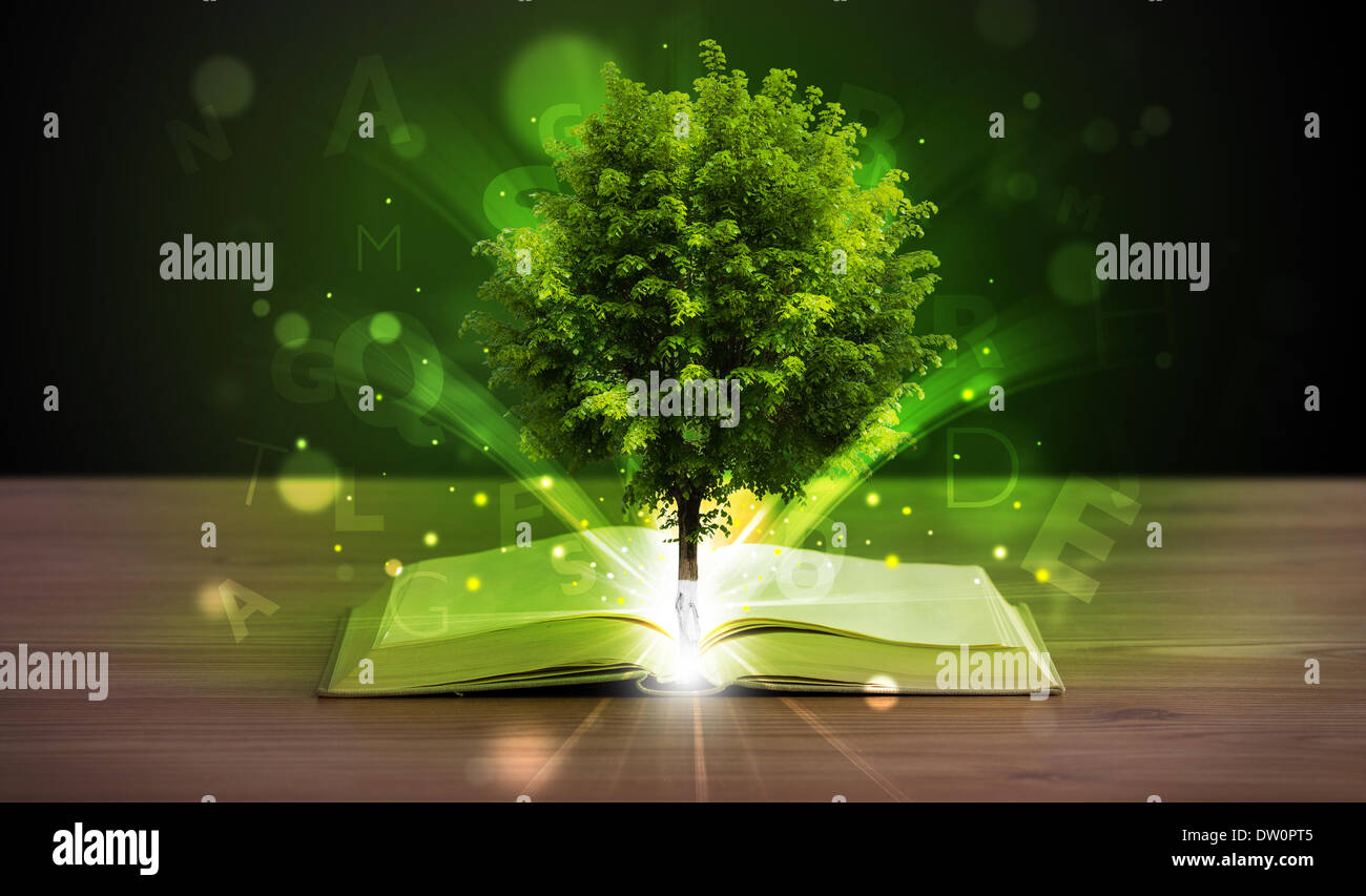 Open book with magical green tree and rays of light Stock Photo - Alamy