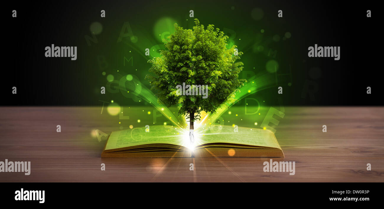 Open book with magical green tree and rays of light Stock Photo - Alamy