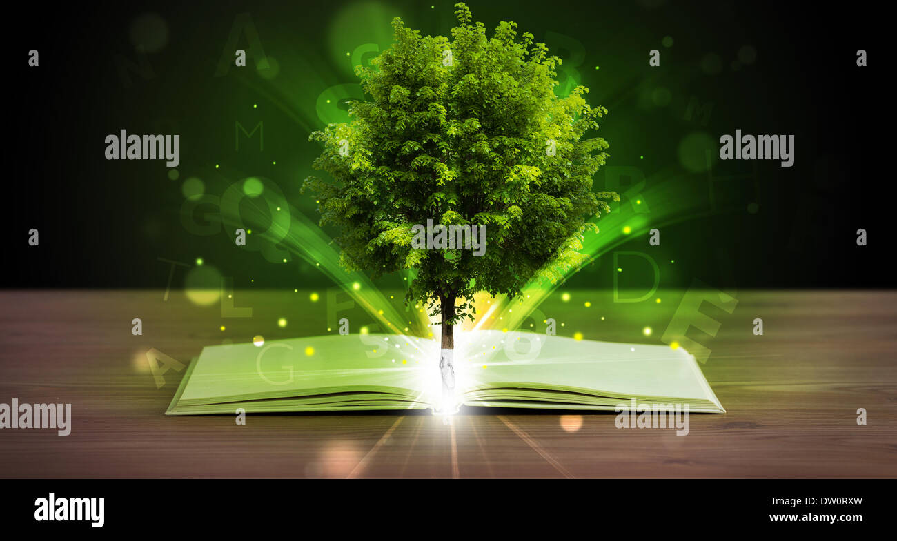 Open book with magical green tree and rays of light Stock Photo - Alamy