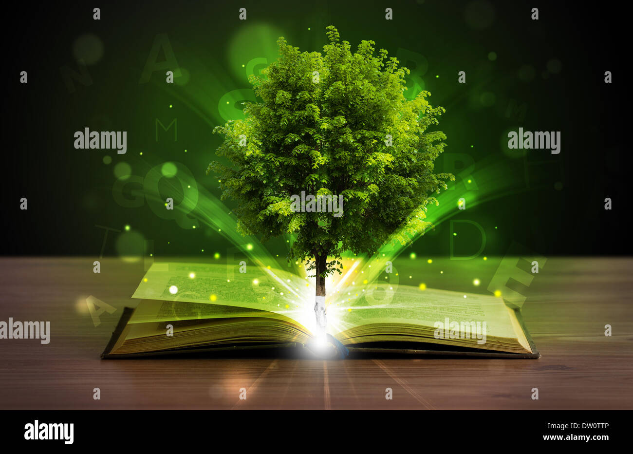 Open book with magical green tree and rays of light Stock Photo - Alamy