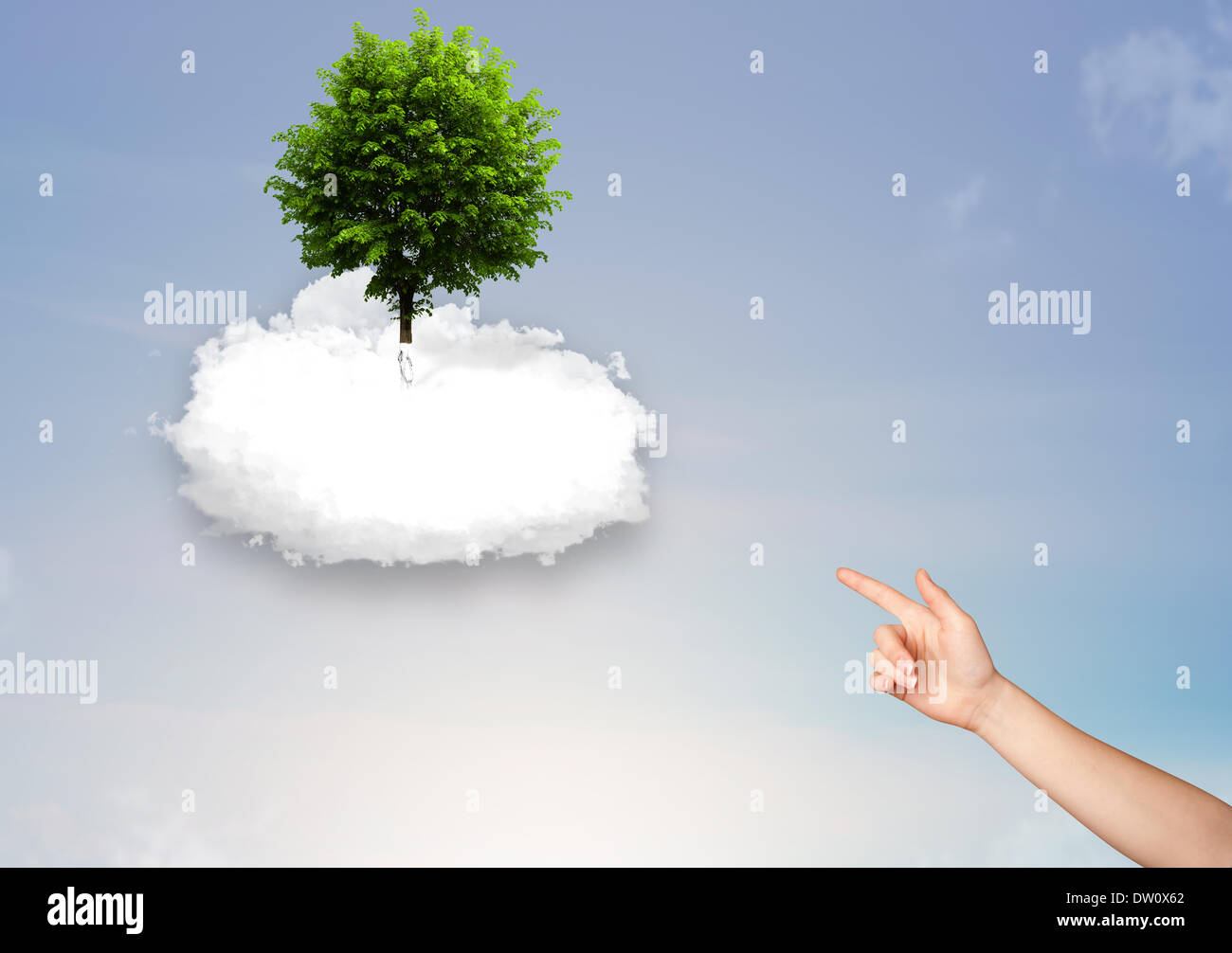 Hand pointing at a green tree on top of a white cloud Stock Photo - Alamy