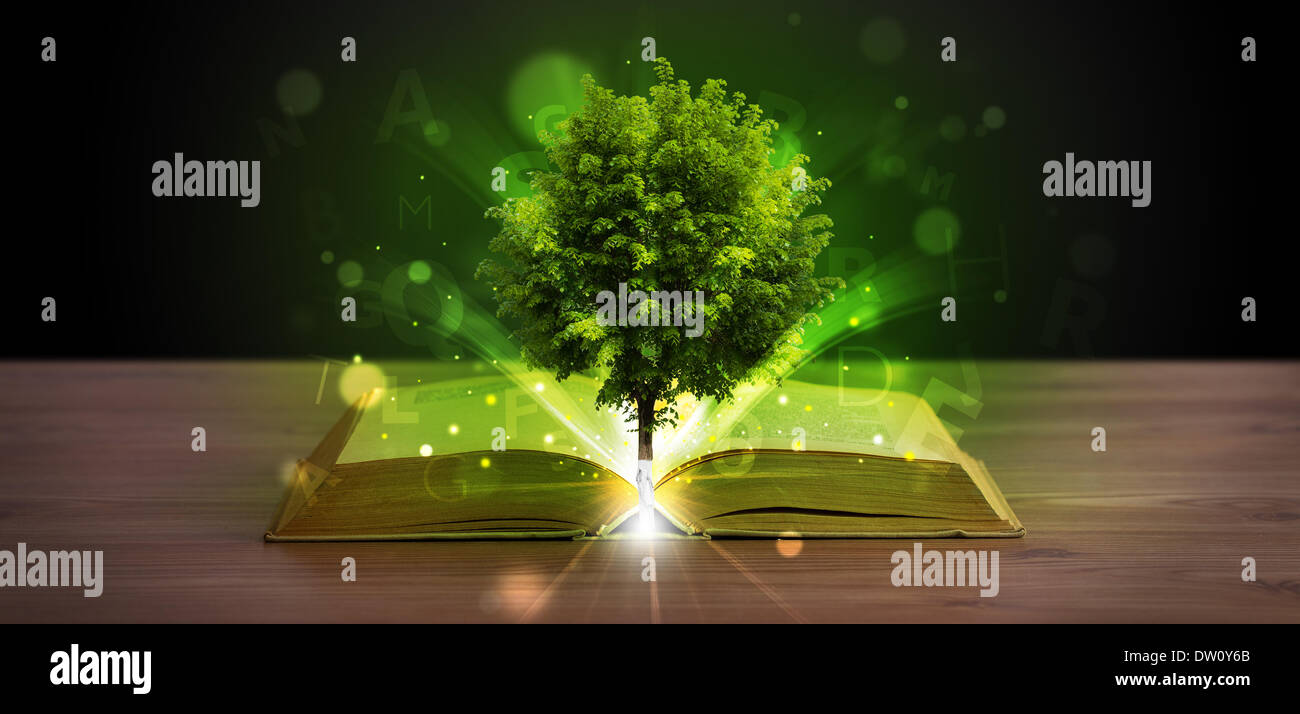Open book with magical green tree and rays of light Stock Photo - Alamy