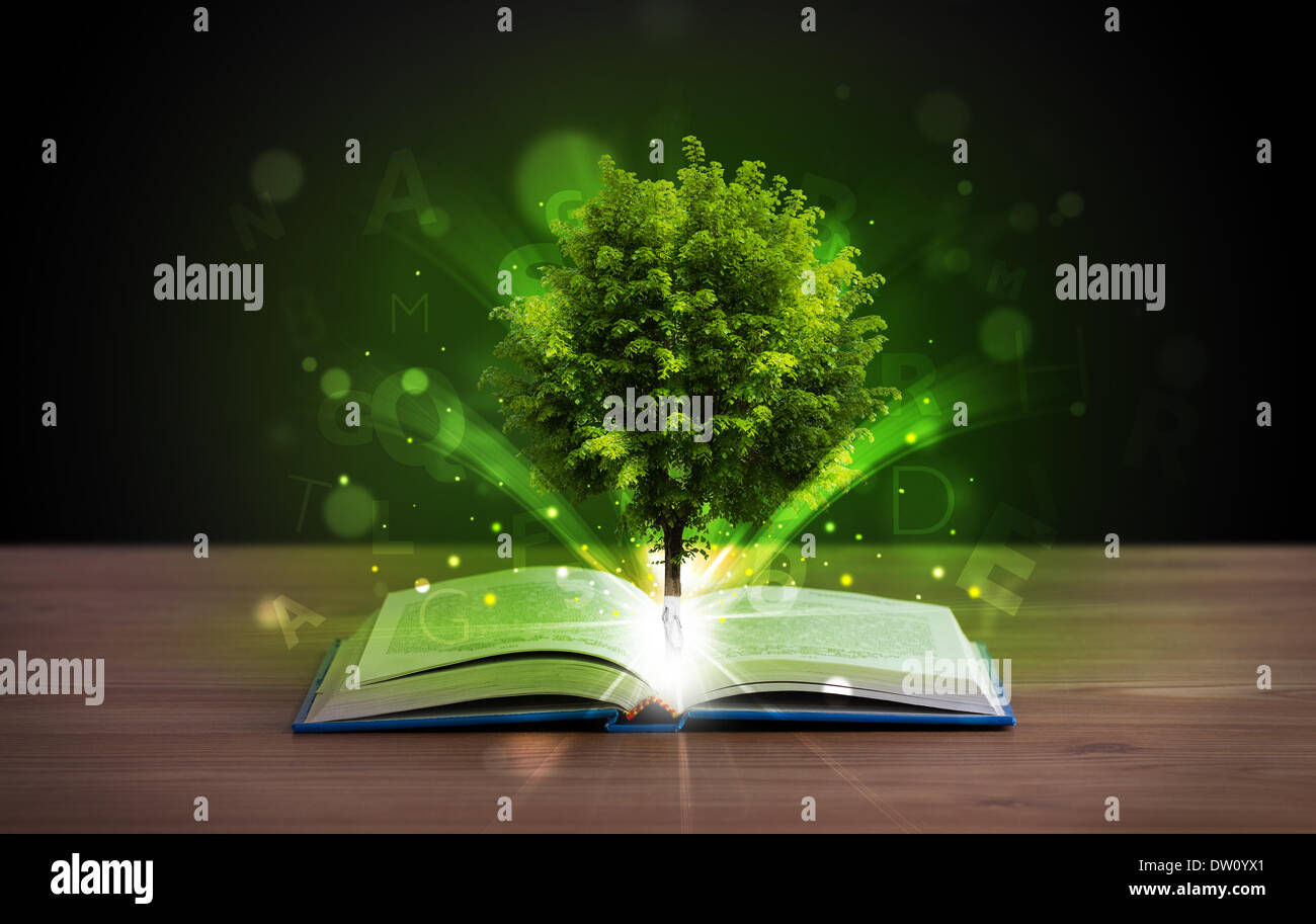 Open book with magical green tree and rays of light Stock Photo - Alamy