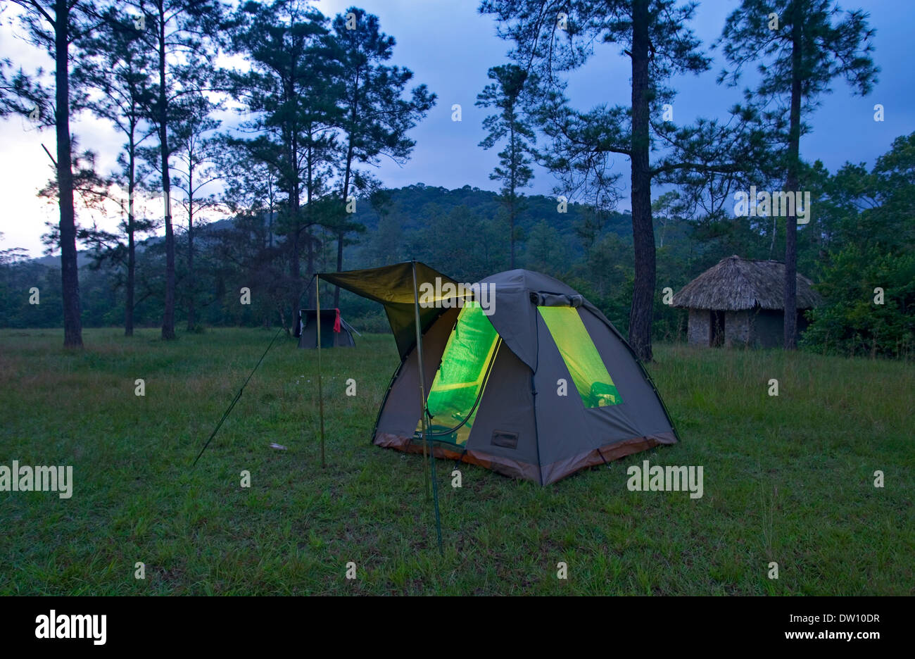 Camping in Belize's mountain pine ridge Stock Photo