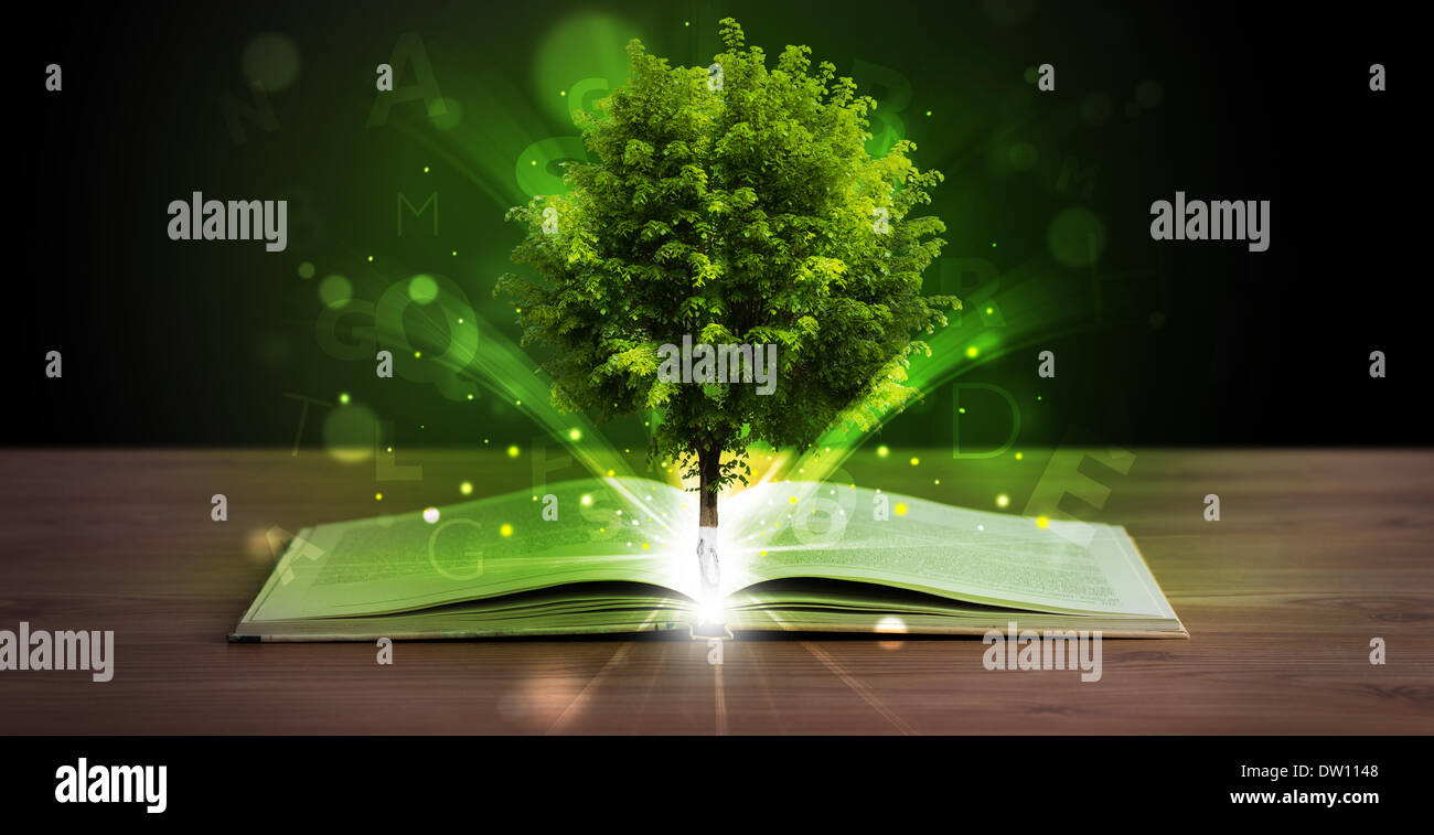 Open book with magical green tree and rays of light Stock Photo - Alamy