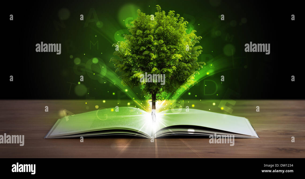 Open book with magical green tree and rays of light Stock Photo - Alamy