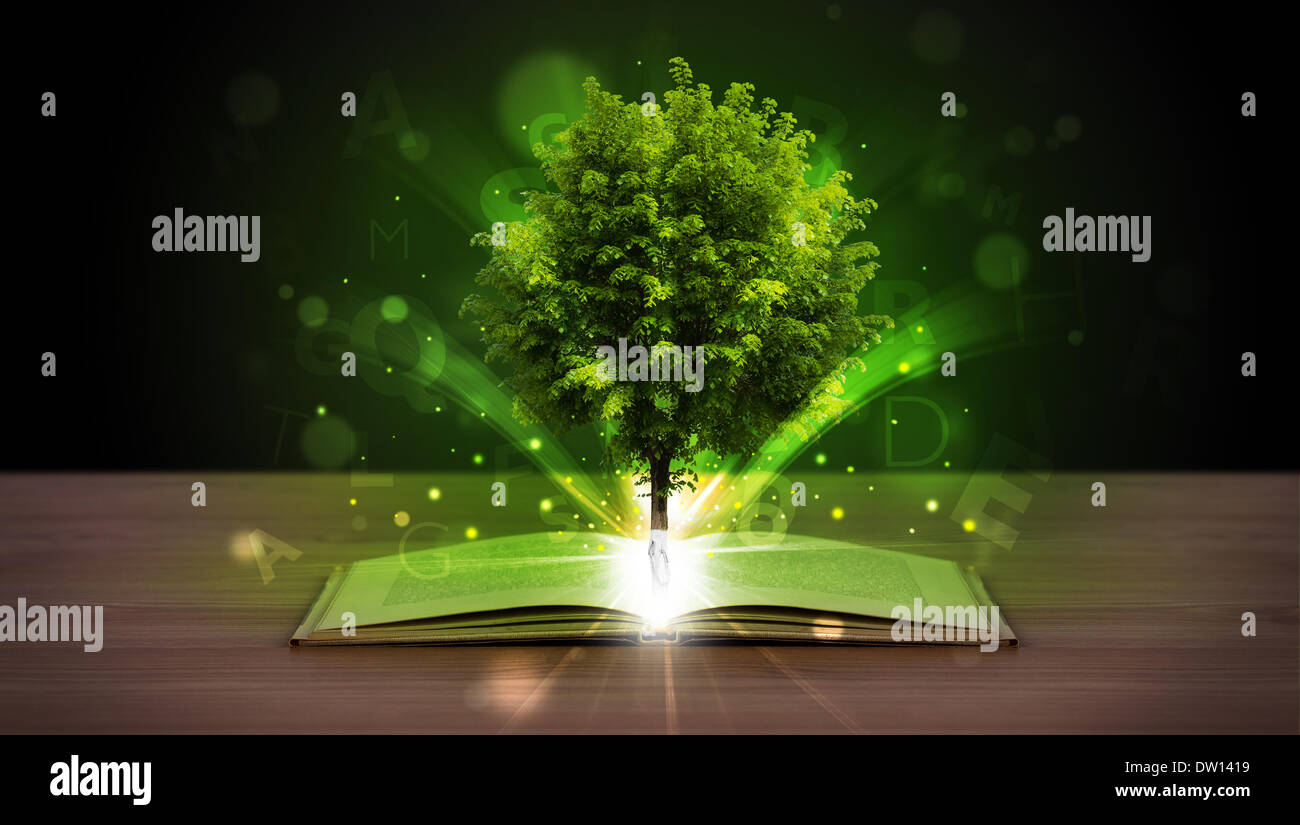 Open book with magical green tree and rays of light Stock Photo - Alamy
