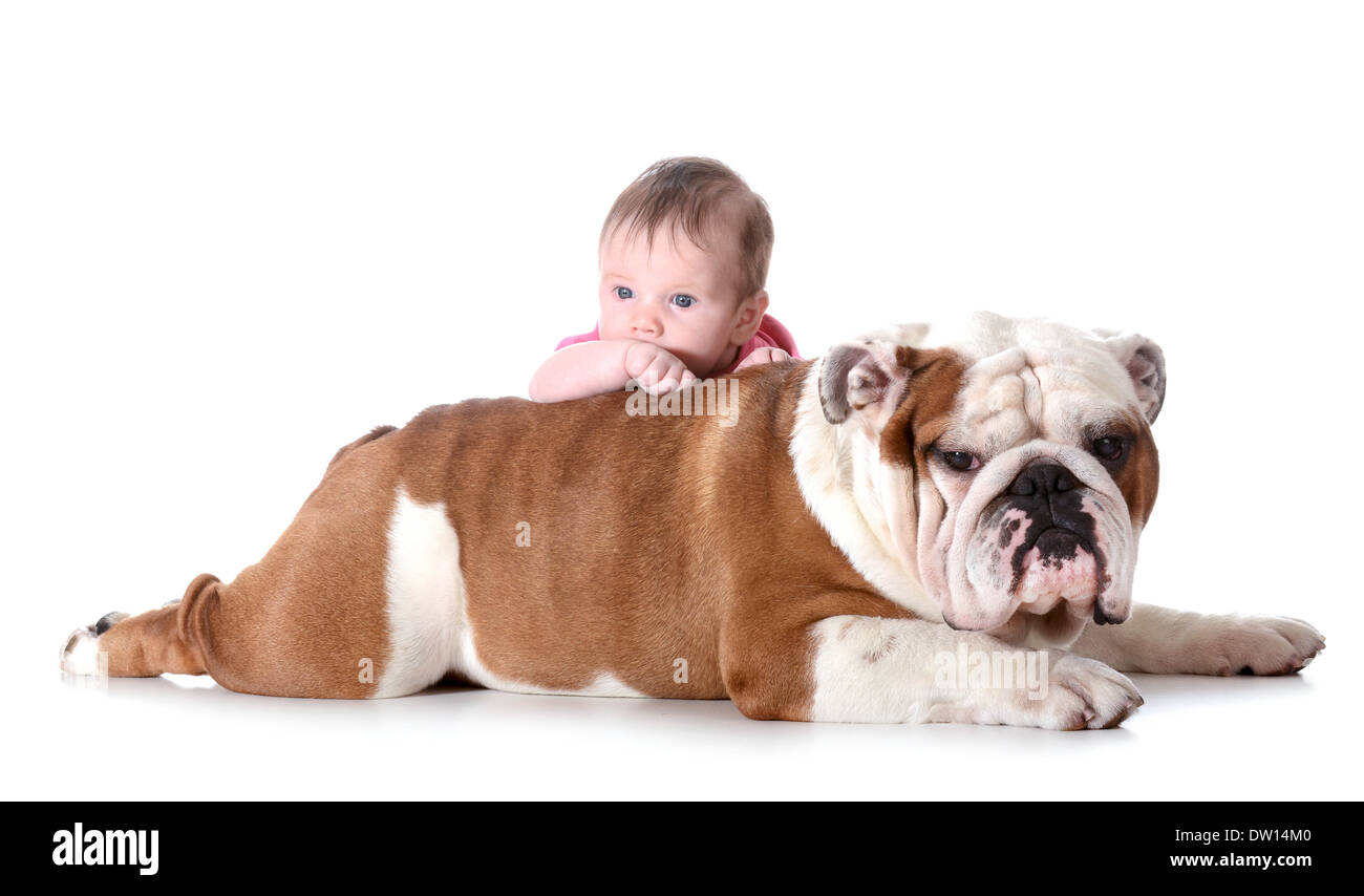 baby and dog - 3 month old baby with 4 year old english bulldog isolated on white background Stock Photo