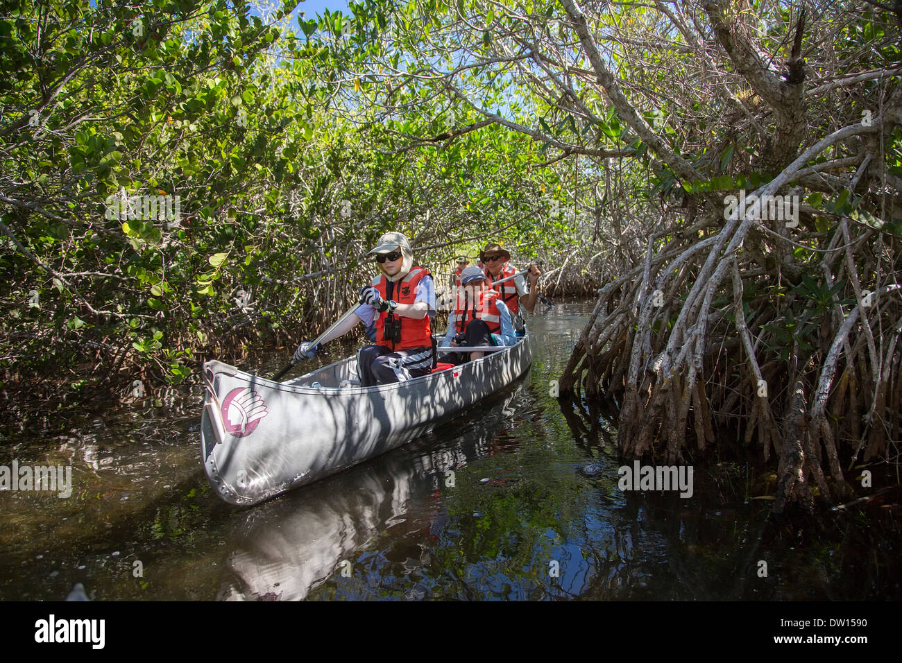 Everglades National Park, Florida Visitors paddle canoes on a trip