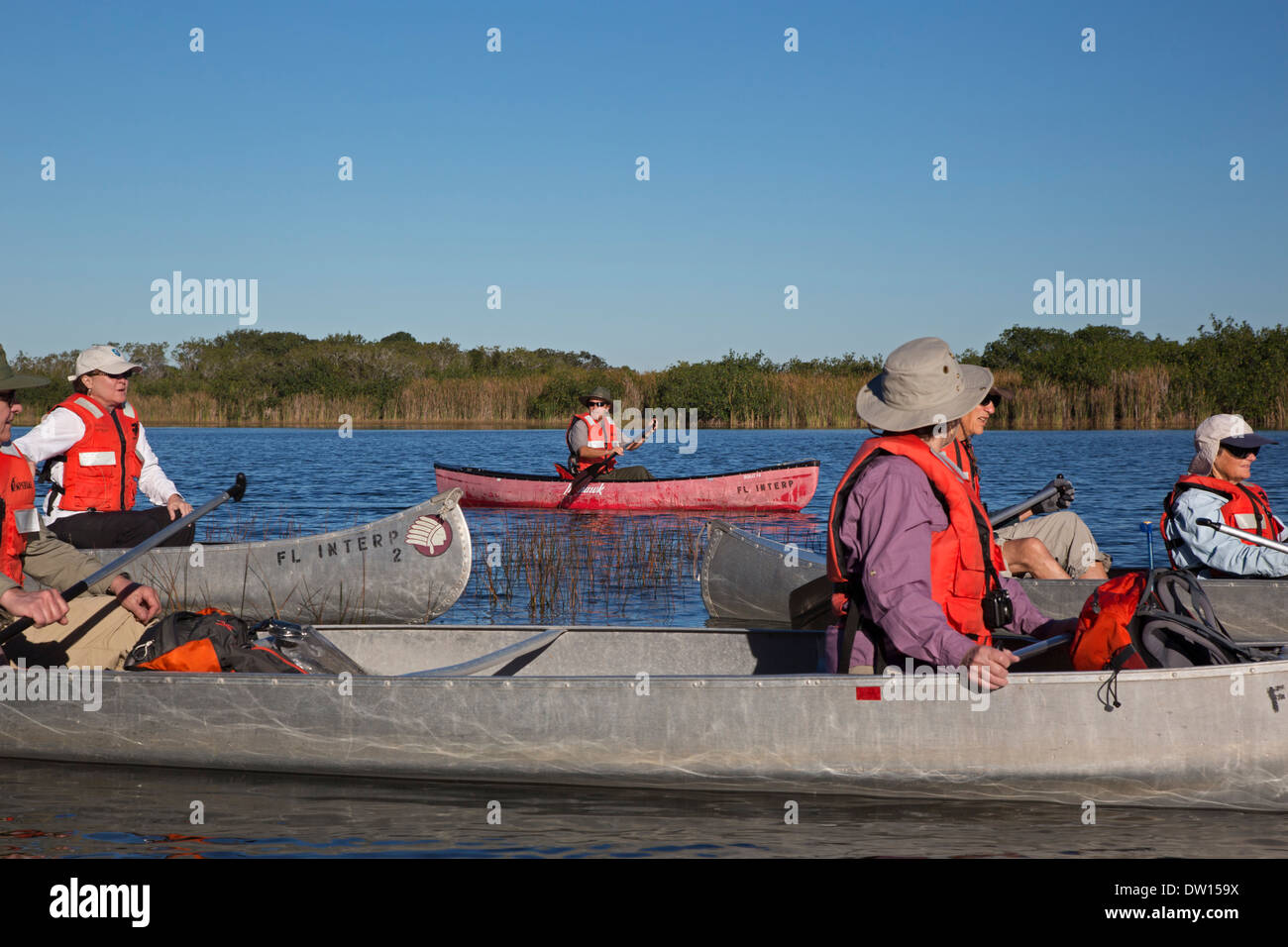 Everglades National Park, Florida - Visitors paddle canoes on a trip led by park ranger Tim Taylor (red canoe). Stock Photo