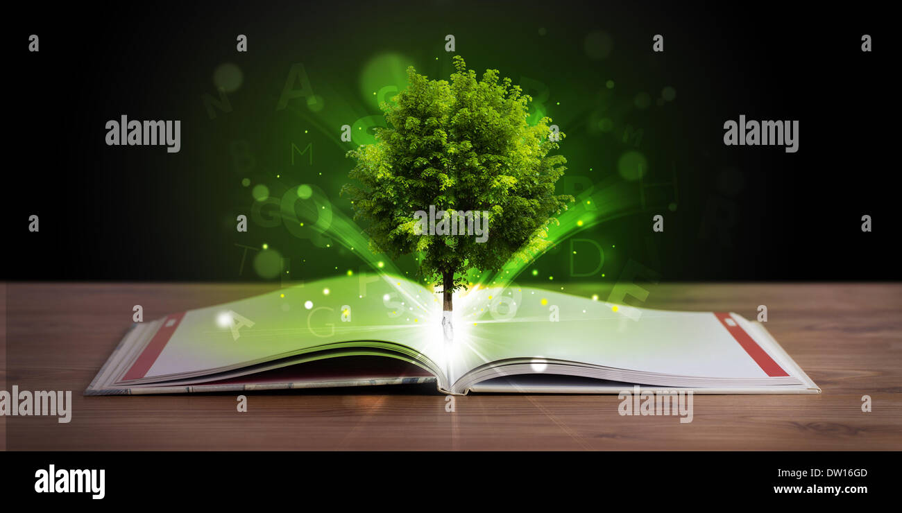 Open book with magical green tree and rays of light Stock Photo - Alamy