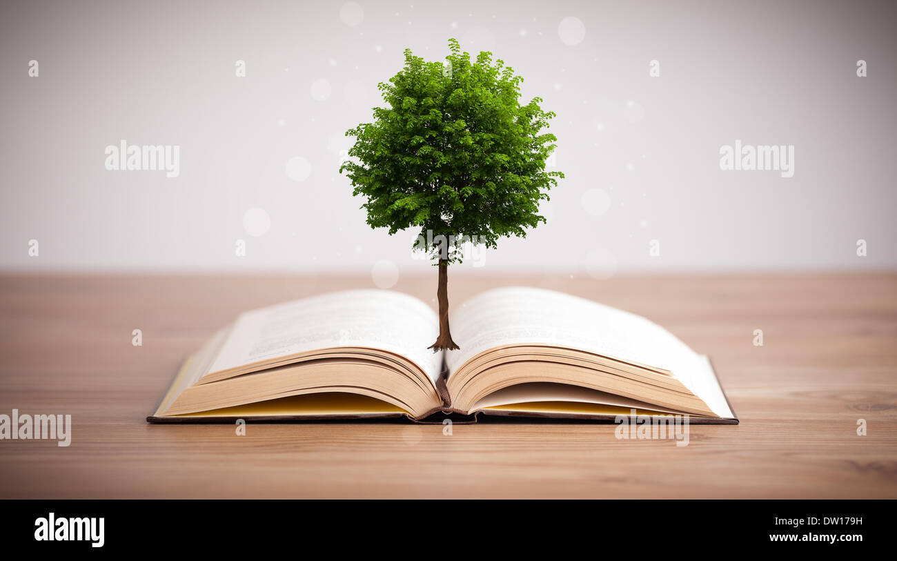 Tree growing from an open book Stock Photo Alamy