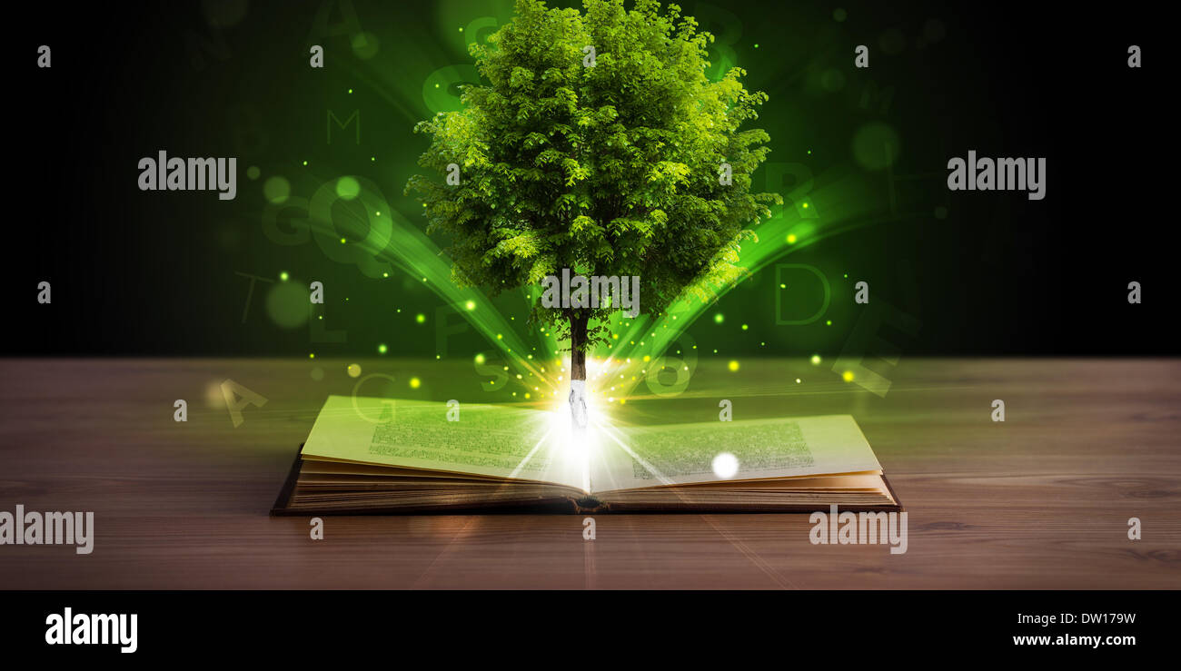 Open book with magical green tree and rays of light Stock Photo - Alamy